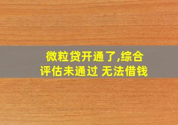 微粒贷开通了,综合评估未通过 无法借钱